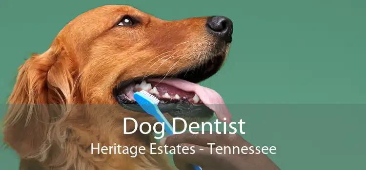 Dog Dentist Heritage Estates - Tennessee