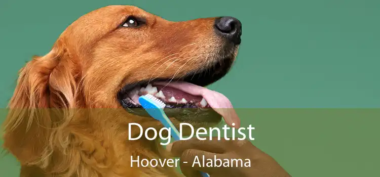 Dog Dentist Hoover - Alabama