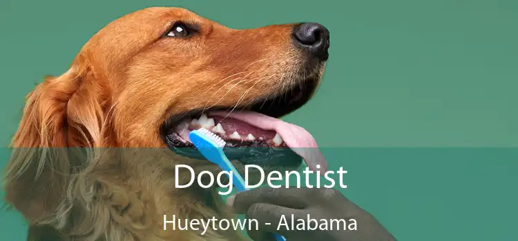 Dog Dentist Hueytown - Alabama
