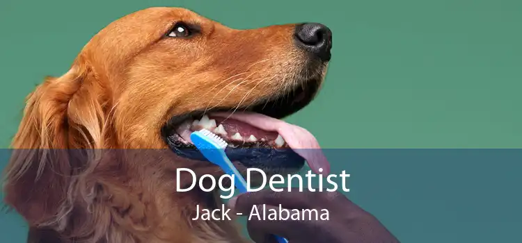 Dog Dentist Jack - Alabama