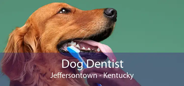 Dog Dentist Jeffersontown - Kentucky