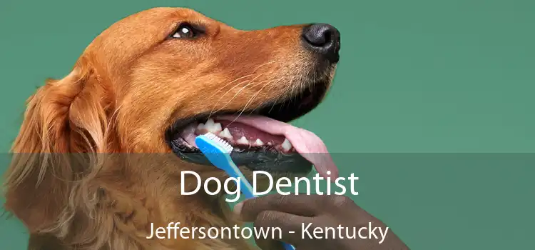 Dog Dentist Jeffersontown - Kentucky