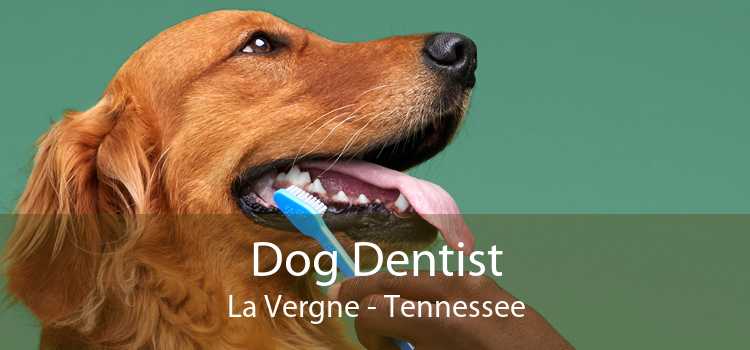 Dog Dentist La Vergne - Tennessee
