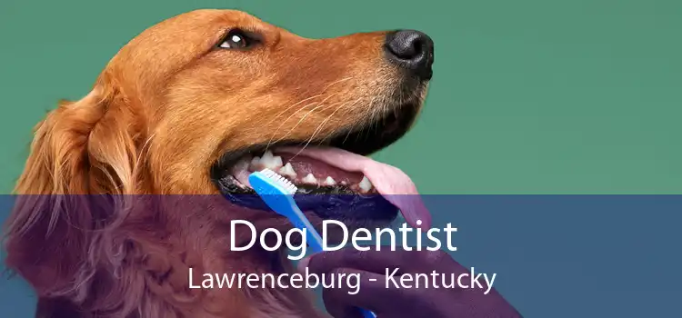 Dog Dentist Lawrenceburg - Kentucky