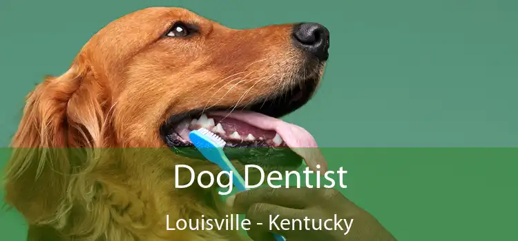 Dog Dentist Louisville - Kentucky
