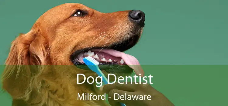 Dog Dentist Milford - Delaware