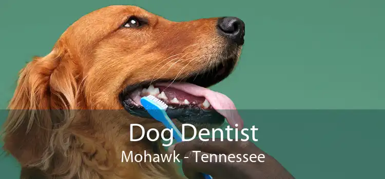 Dog Dentist Mohawk - Tennessee