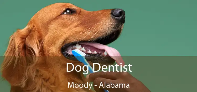 Dog Dentist Moody - Alabama