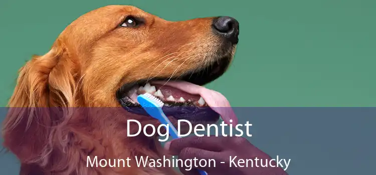Dog Dentist Mount Washington - Kentucky