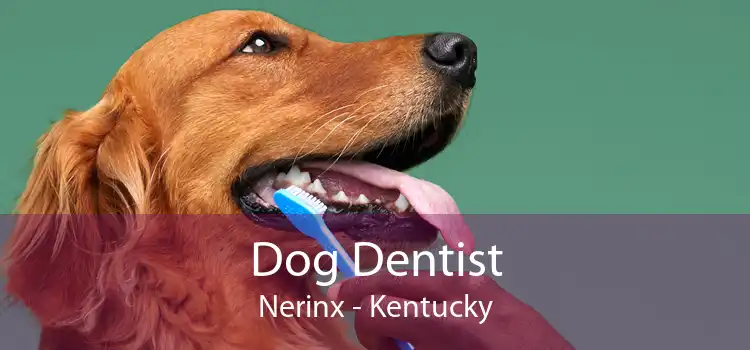 Dog Dentist Nerinx - Kentucky