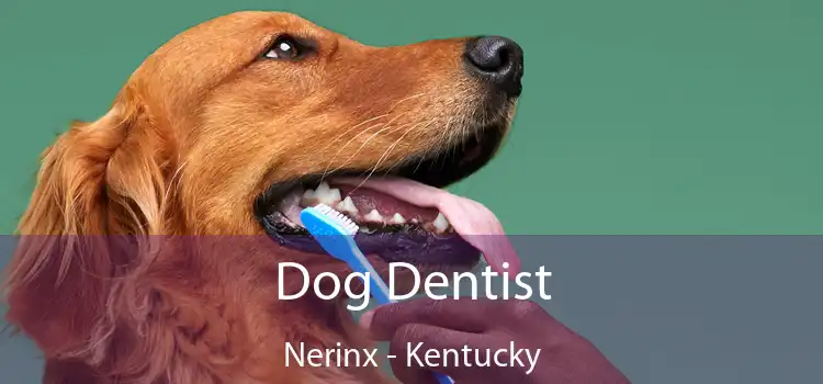 Dog Dentist Nerinx - Kentucky