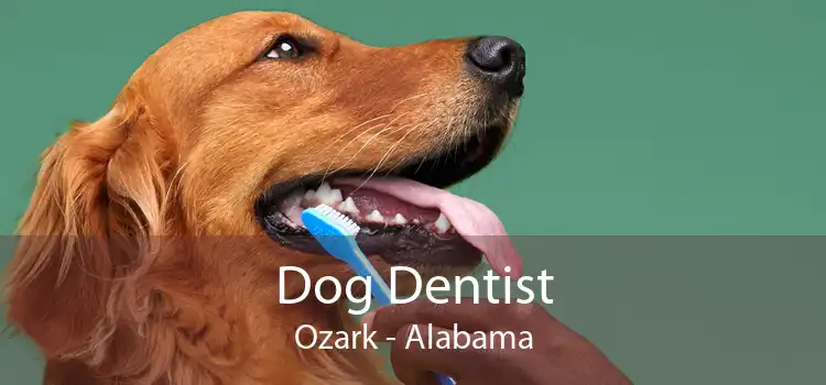 Dog Dentist Ozark - Alabama