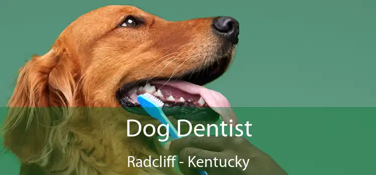 Dog Dentist Radcliff - Kentucky