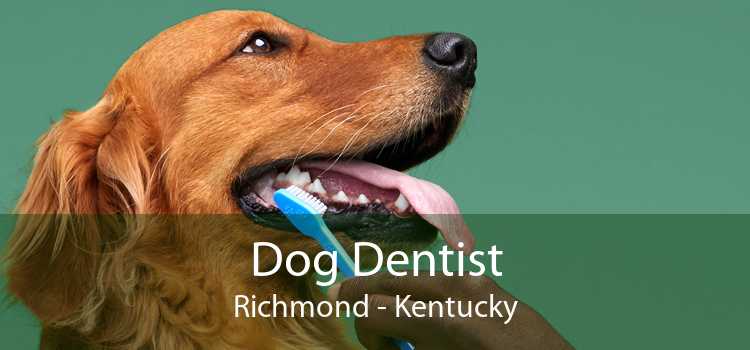Dog Dentist Richmond - Kentucky