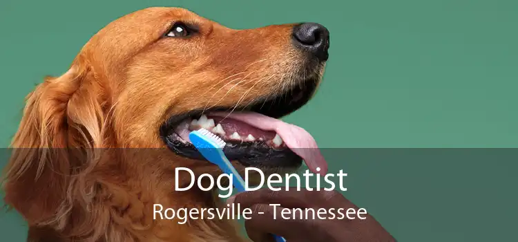 Dog Dentist Rogersville - Tennessee