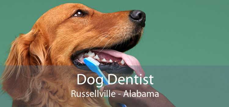 Dog Dentist Russellville - Alabama