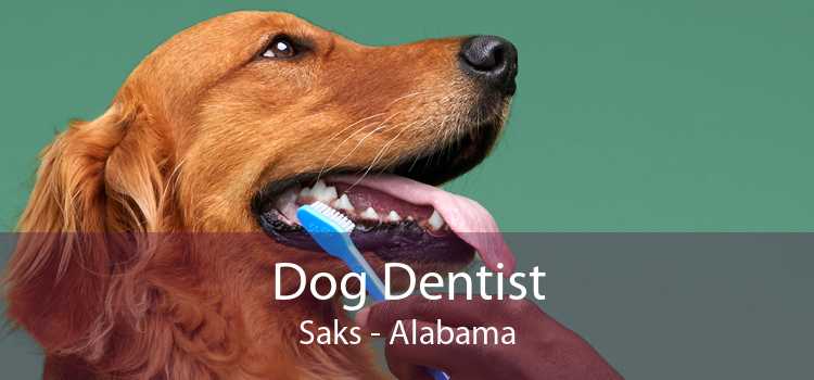 Dog Dentist Saks - Alabama