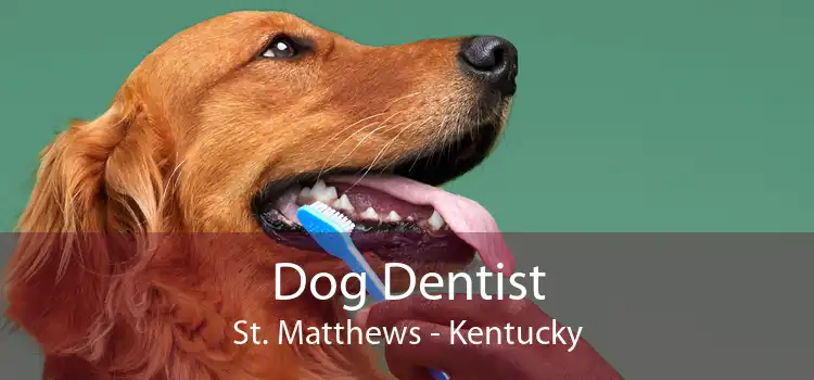Dog Dentist St. Matthews - Kentucky