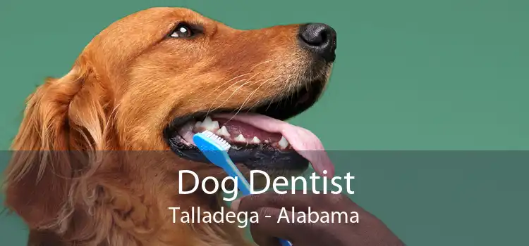 Dog Dentist Talladega - Alabama