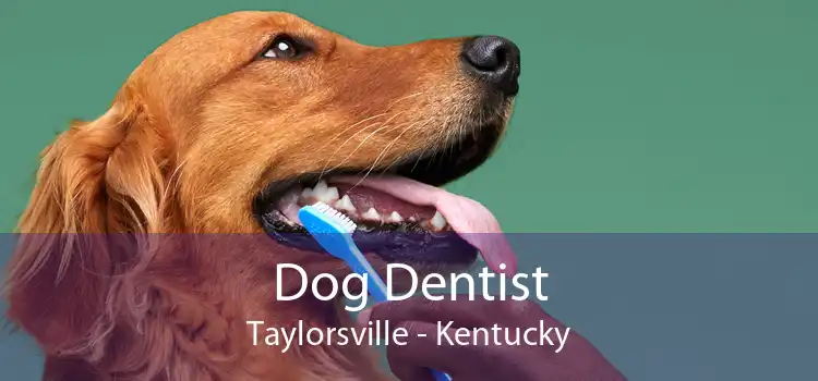 Dog Dentist Taylorsville - Kentucky