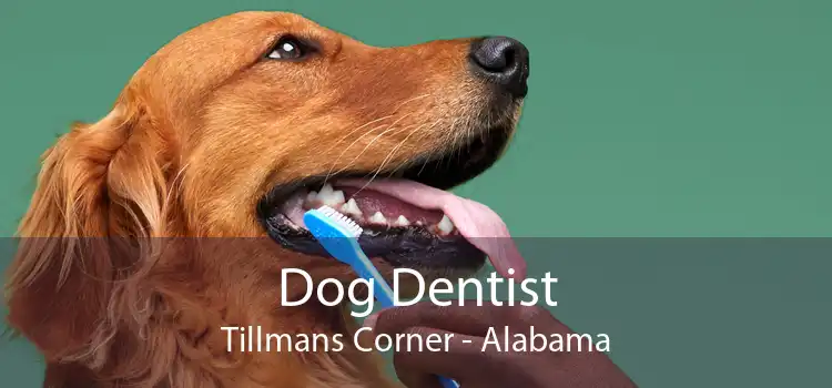 Dog Dentist Tillmans Corner - Alabama