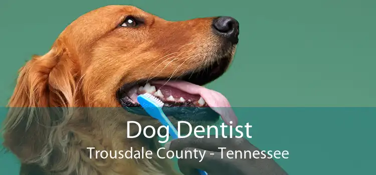 Dog Dentist Trousdale County - Tennessee