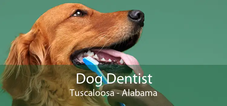 Dog Dentist Tuscaloosa - Alabama