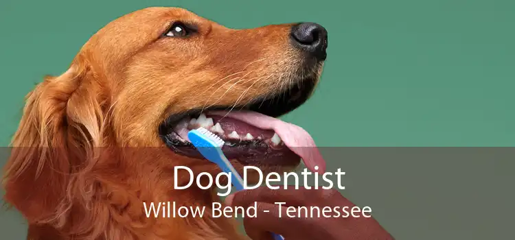 Dog Dentist Willow Bend - Tennessee