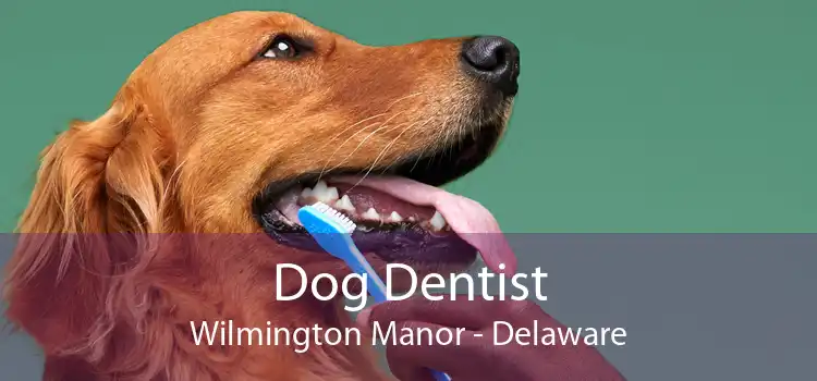 Dog Dentist Wilmington Manor - Delaware