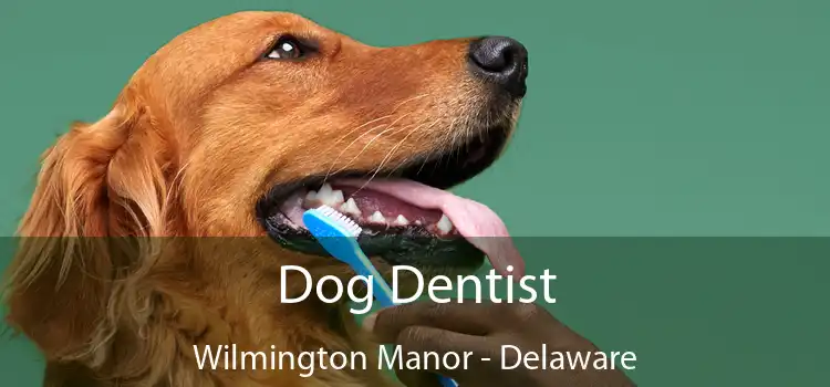 Dog Dentist Wilmington Manor - Delaware