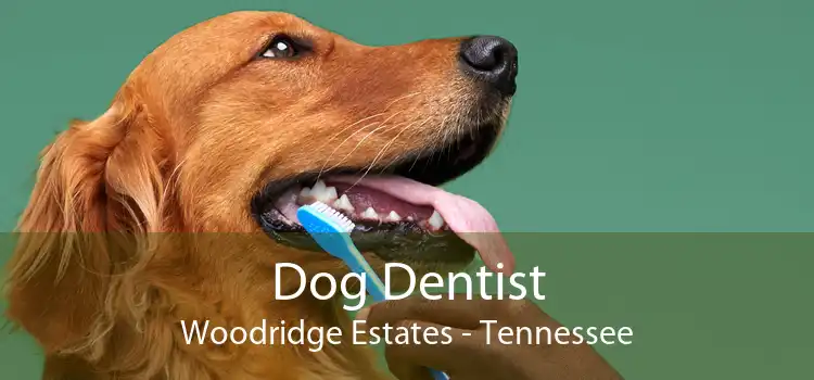Dog Dentist Woodridge Estates - Tennessee