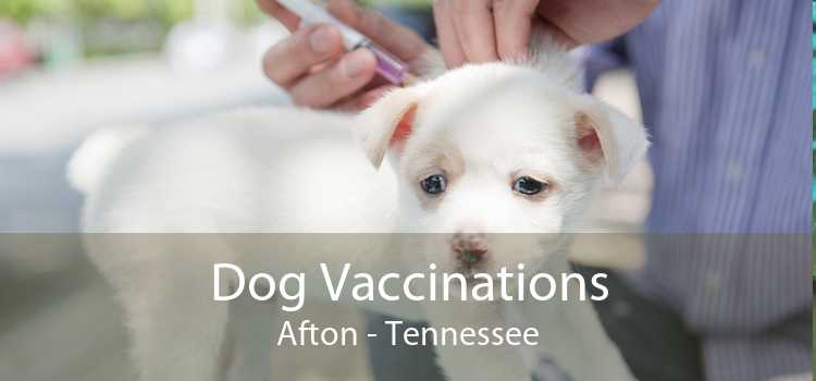 Dog Vaccinations Afton - Tennessee