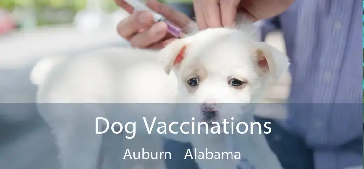 Dog Vaccinations Auburn - Alabama