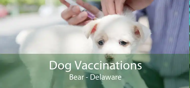 Dog Vaccinations Bear - Delaware