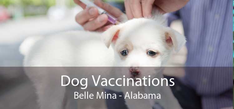 Dog Vaccinations Belle Mina - Alabama