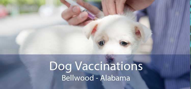 Dog Vaccinations Bellwood - Alabama