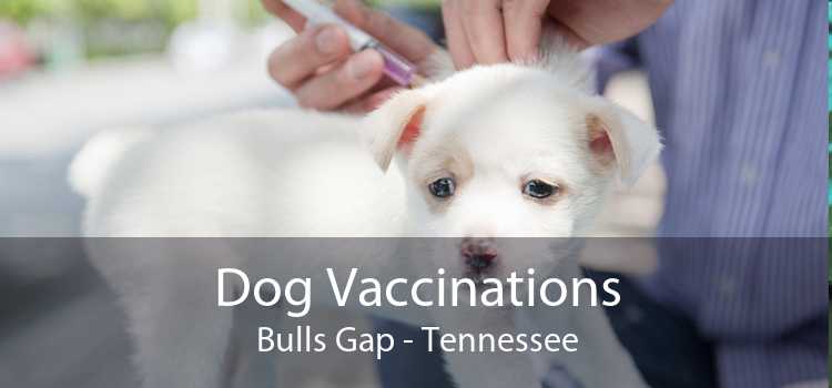 Dog Vaccinations Bulls Gap - Tennessee