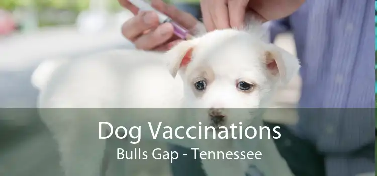 Dog Vaccinations Bulls Gap - Tennessee