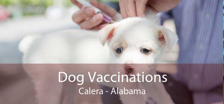Dog Vaccinations Calera - Alabama
