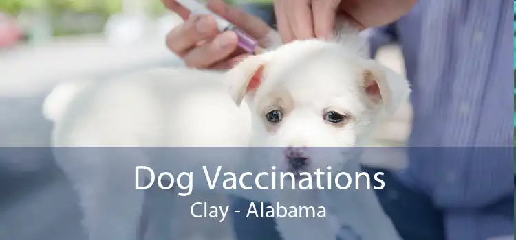 Dog Vaccinations Clay - Alabama