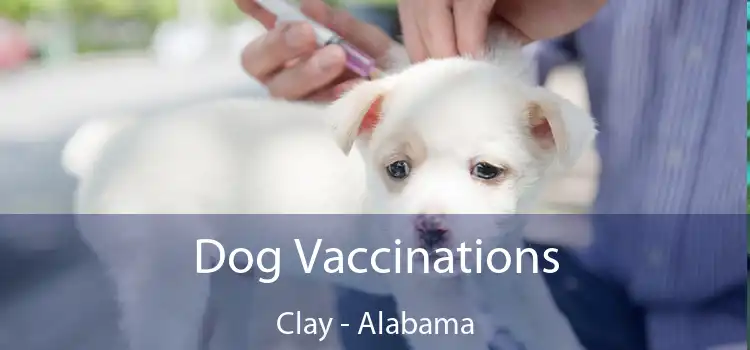 Dog Vaccinations Clay - Alabama