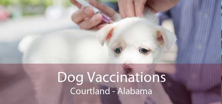 Dog Vaccinations Courtland - Alabama