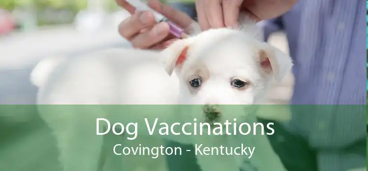 Dog Vaccinations Covington - Kentucky