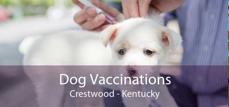 Dog Vaccinations Crestwood - Kentucky
