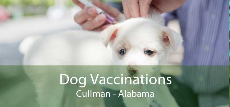 Dog Vaccinations Cullman - Alabama