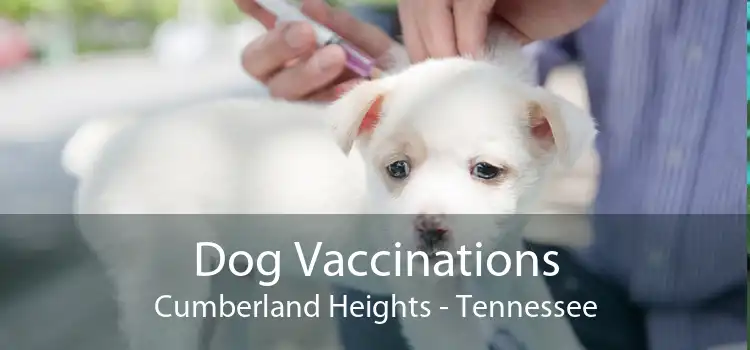 Dog Vaccinations Cumberland Heights - Tennessee