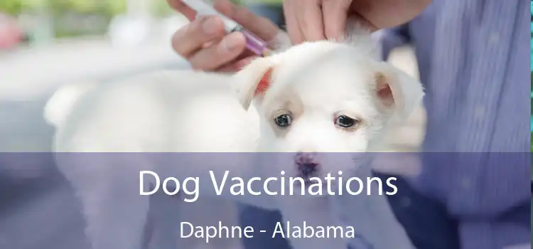 Dog Vaccinations Daphne - Alabama