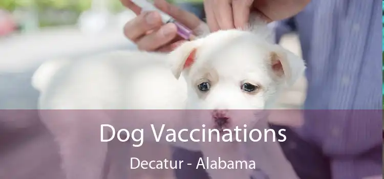 Dog Vaccinations Decatur - Alabama
