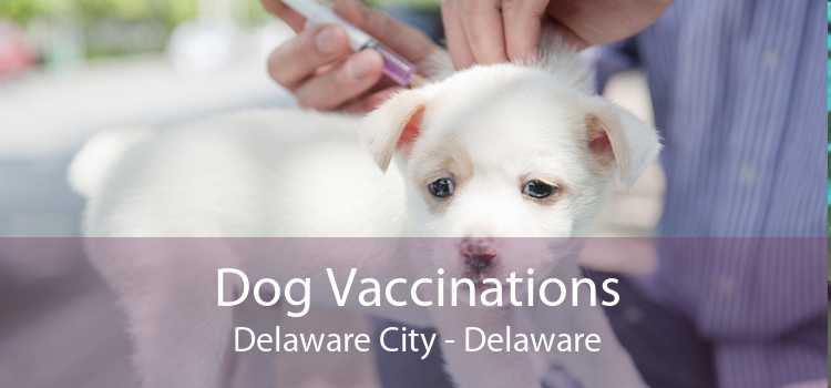 Dog Vaccinations Delaware City - Delaware
