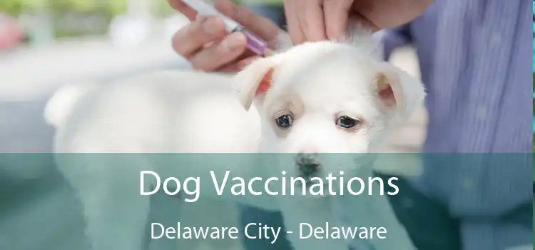 Dog Vaccinations Delaware City - Delaware
